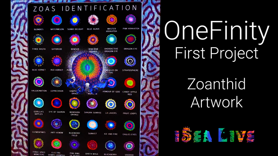 Zoanthid Coral Identification Art Frame Project | Onefinity CNC