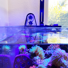 Load image into Gallery viewer, Fluval Evo 13.5 Roller Mat Filter - Nano Reef Tank