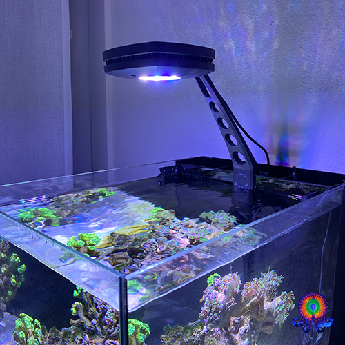 Ai aquarium lights best sale