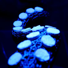 Load image into Gallery viewer, "OctoRack" 3D Printed Octopus Arm Frag Rack Plugs Included