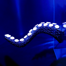 Load image into Gallery viewer, "OctoRack" 3D Printed Octopus Arm Frag Rack Plugs Included