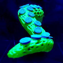 Load image into Gallery viewer, "OctoRack" 3D Printed Octopus Arm Frag Rack Plugs Included
