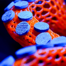 Load image into Gallery viewer, "OctoRack" 3D Printed Octopus Arm Frag Rack Plugs Included