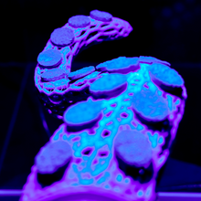 Load image into Gallery viewer, "OctoRack" 3D Printed Octopus Arm Frag Rack Plugs Included