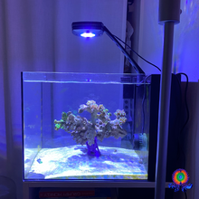 Load image into Gallery viewer, WaterBox 15g pen AI Prime HD Light Mount