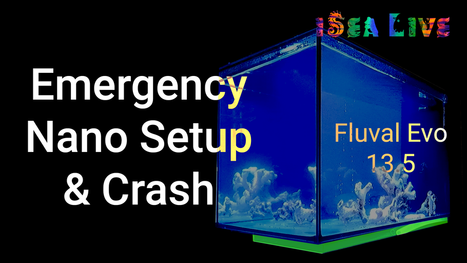 Emergency Fluval Evo 13.5 Nano Reef Setup and Crash | Everything Dies | Part 1