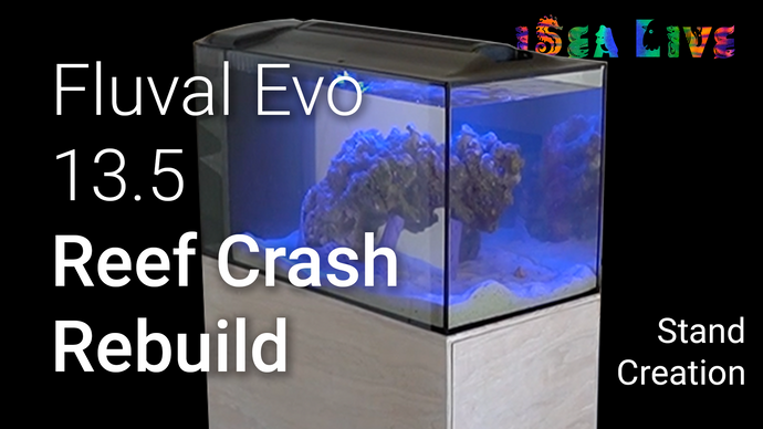 Fluval Evo 13.5 Rebuild aftering Crashing | Stand Design & Creation | Part 2