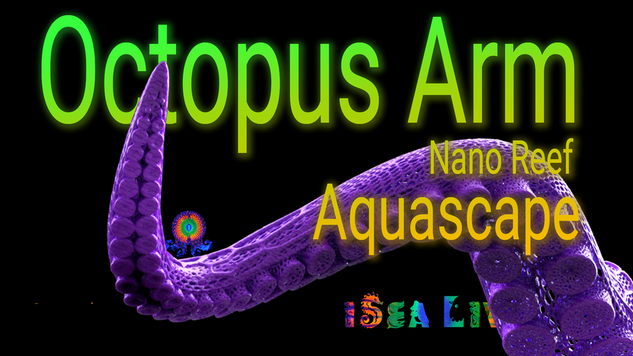 3D Printed Octopus Arm AquaScape Design & Creation | Nano Reef Aquarium