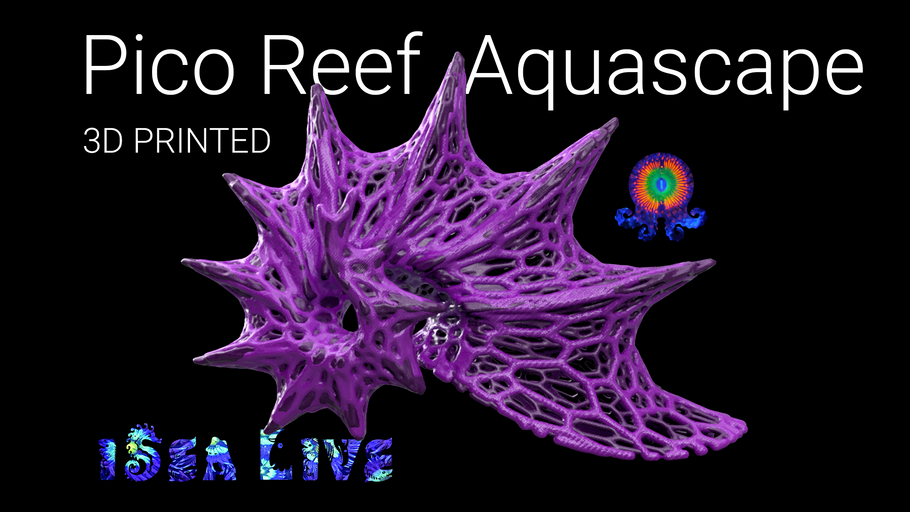 Pico Reef AquaScape | Custom Voronoi Seashell | 3d Printed