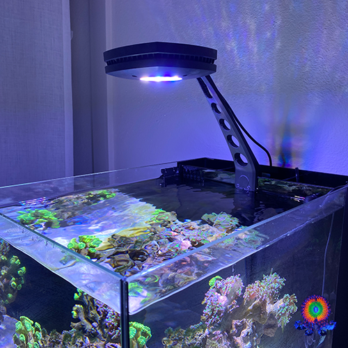 WaterBox Peninsula Mini AI Prime HD Light Mount | FREE SHIPPING