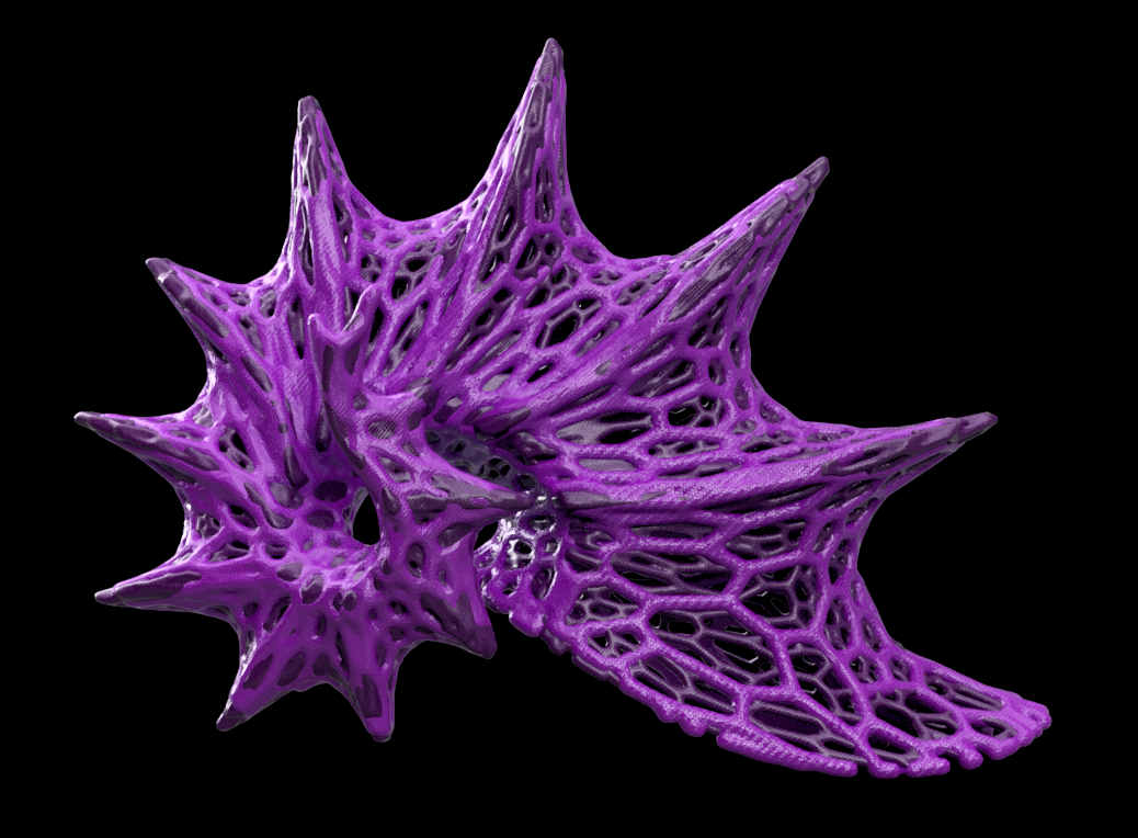 Voronoi Mesh SeaShell Aquascape | Voronois Ammonites | 3d File Download